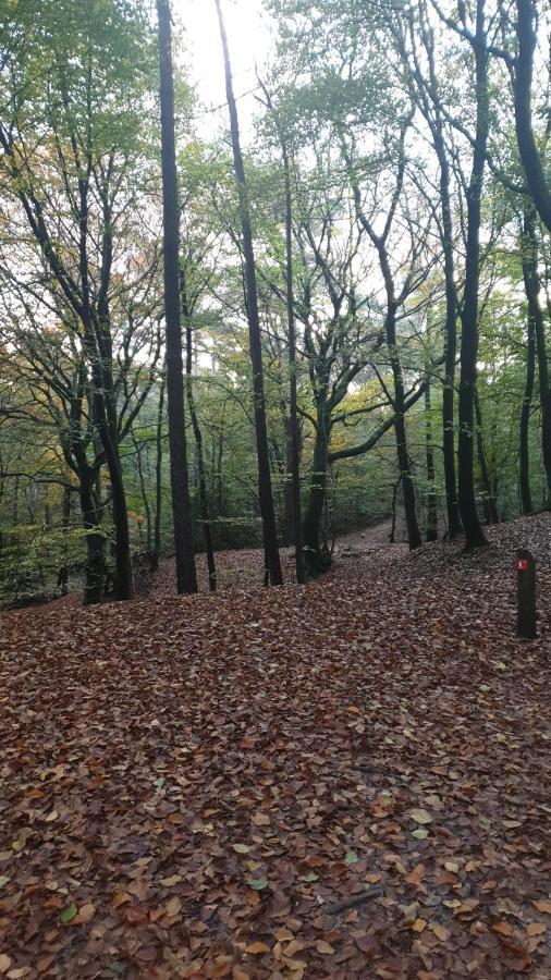 Abija Villa Putten Bagian luar foto