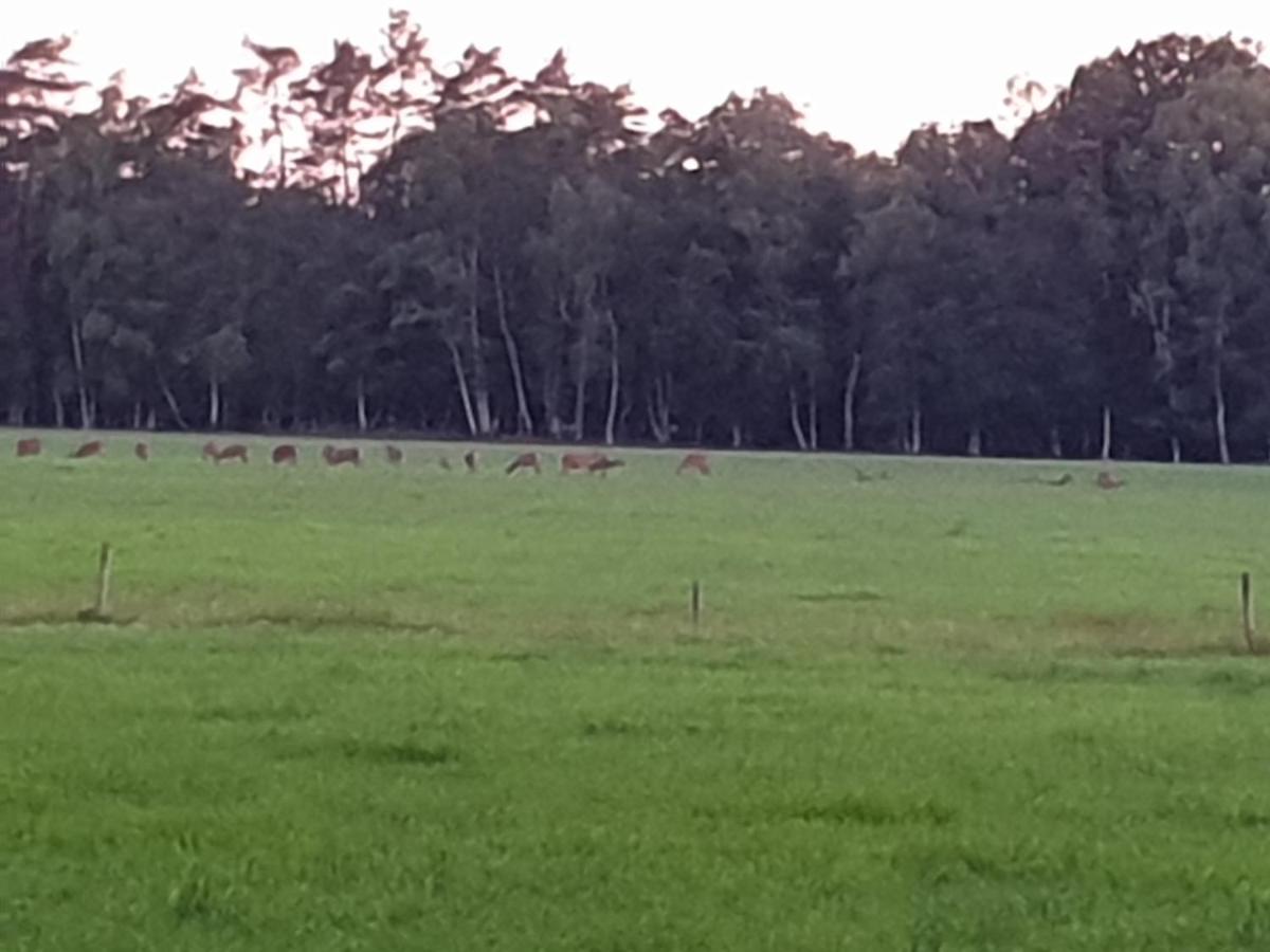 Abija Villa Putten Bagian luar foto